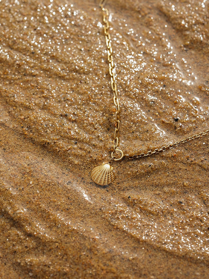 Seashell Necklace