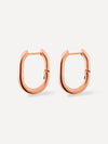 Absolute Appeal Earrings