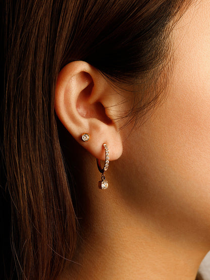 Graceful Dazzle Earrings