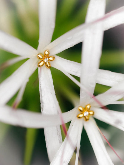 Elegant Flower Earrings