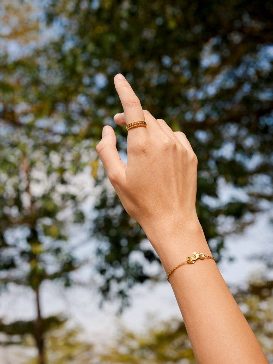 Anillo De Sueños Épicos