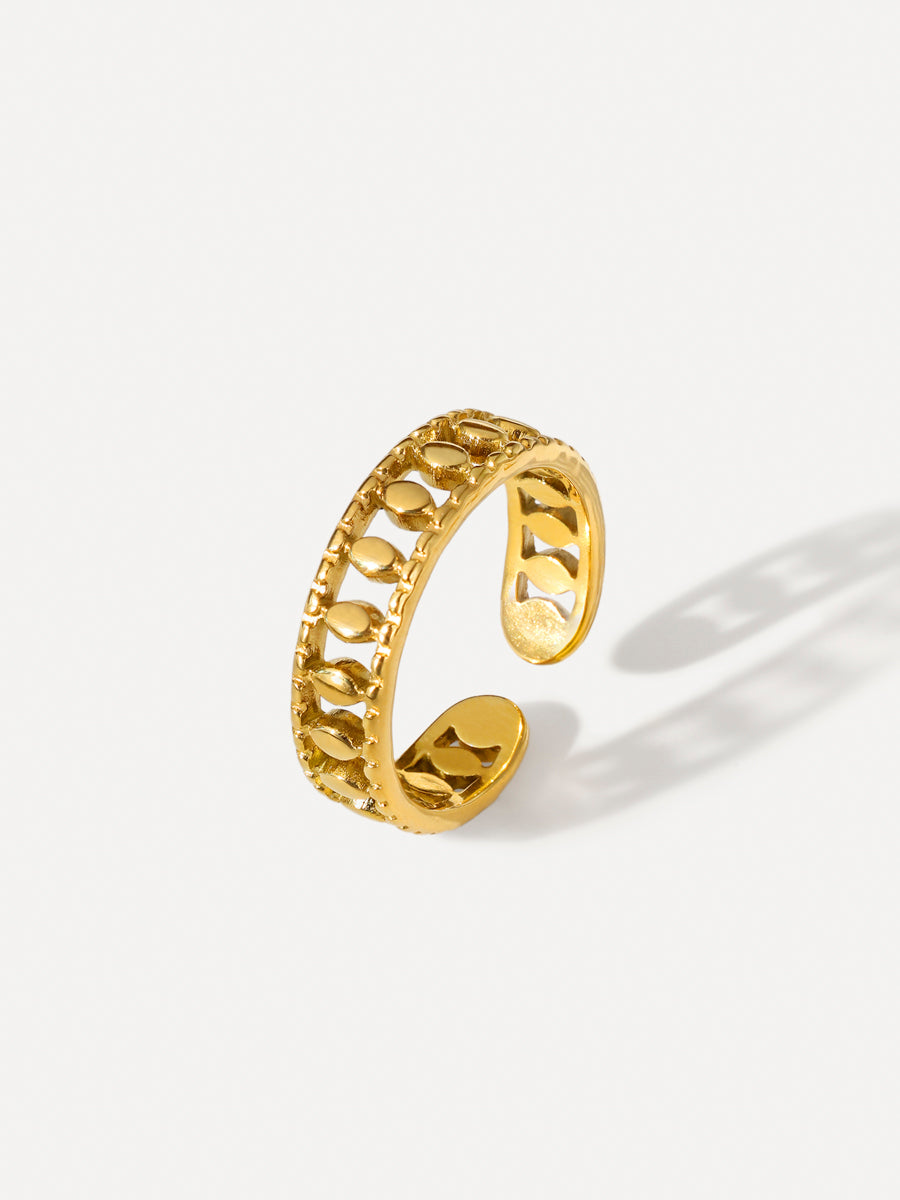 Anillo De Sueños Épicos
