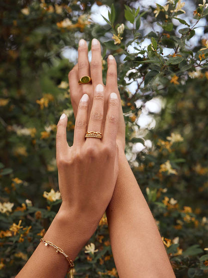 Anillo De Balas