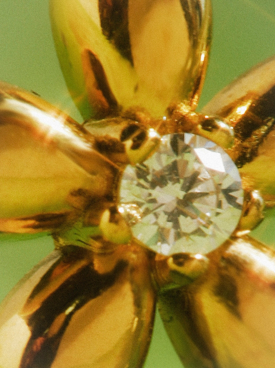 Elegant Flower Earrings