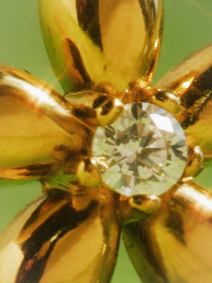 Elegant Flower Earrings